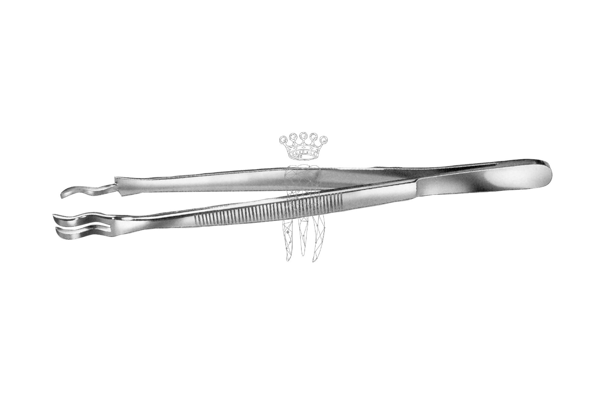 Instrumenten Haltepinzette RS
