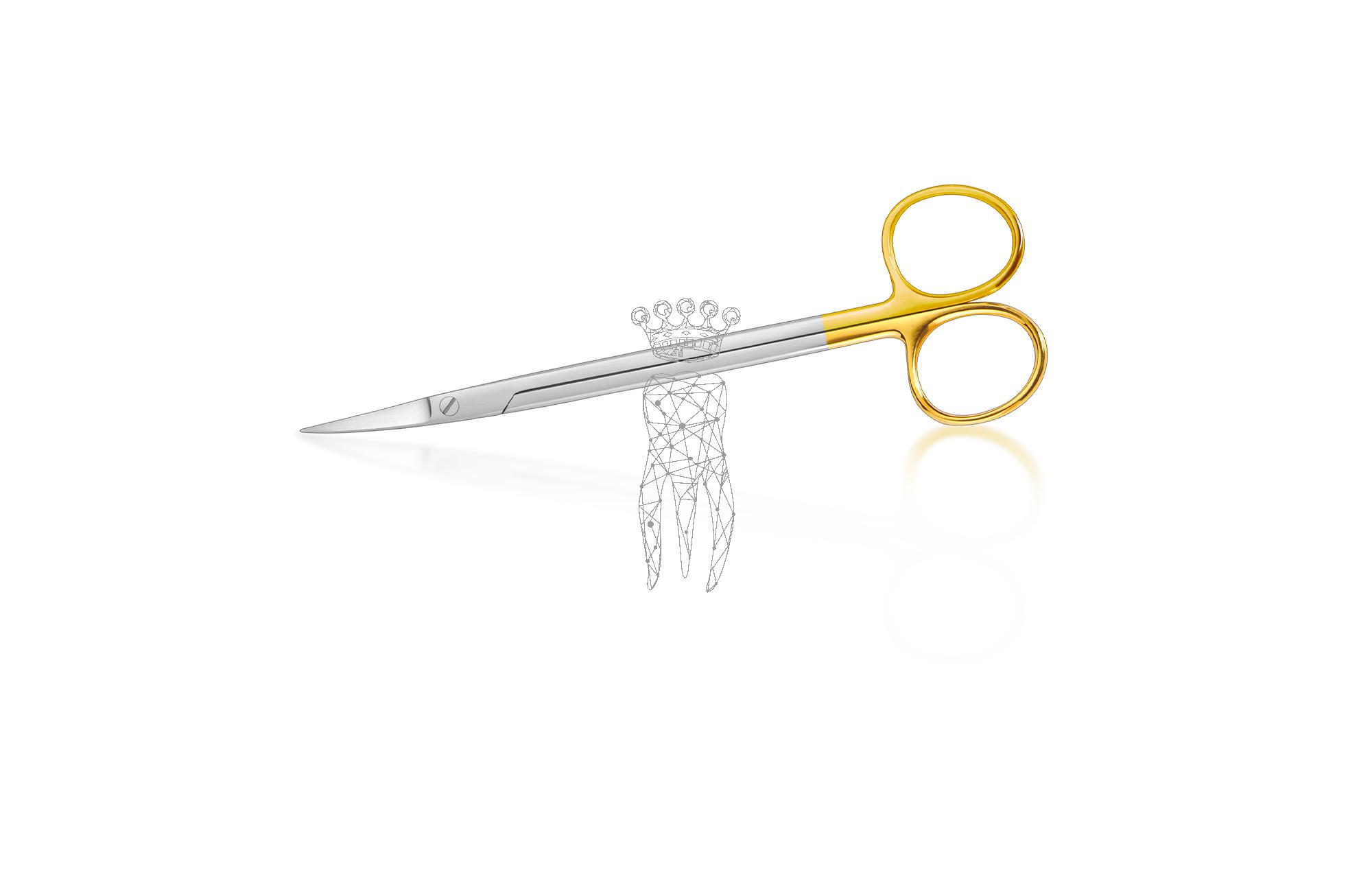Surgical scissors KELLY - TC curved 16cm