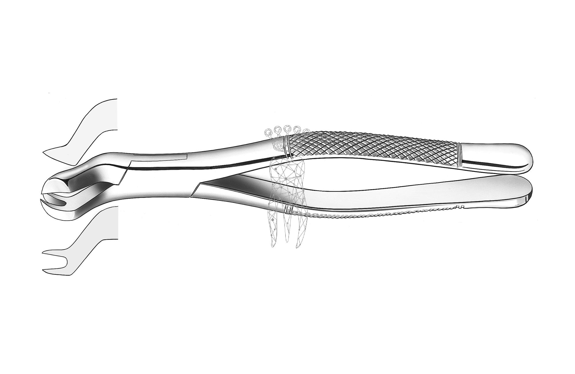 Extracting forceps american pattern Upper-Jaw molars right