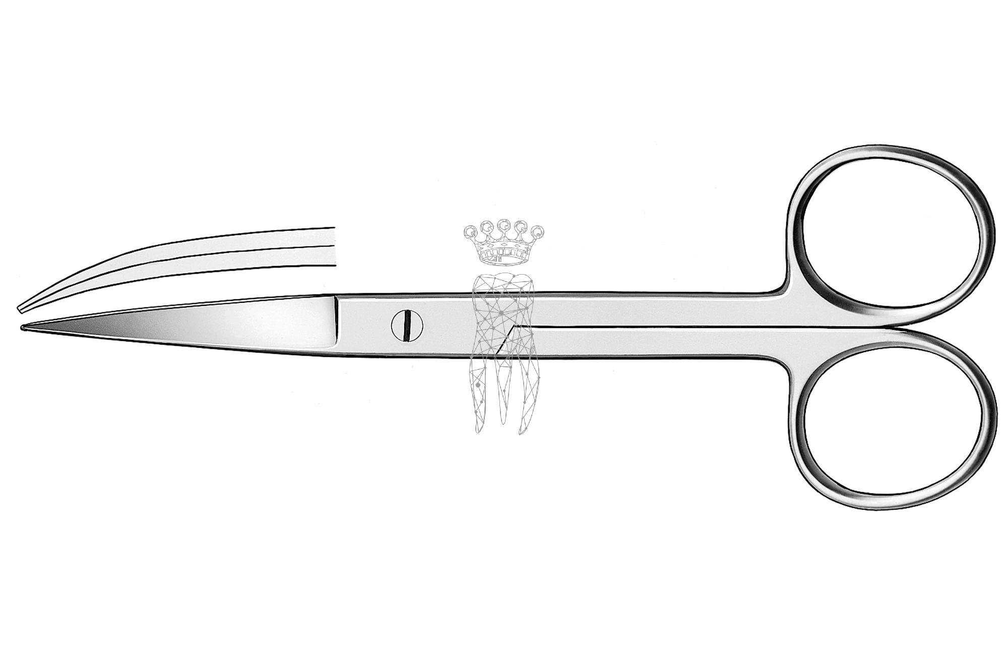 Surgical scissors Cooper