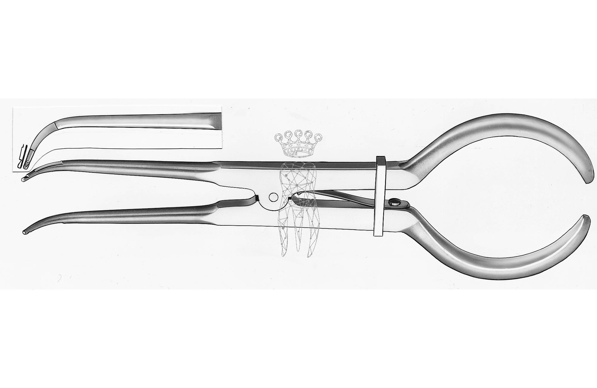 Clamp forceps Stoke