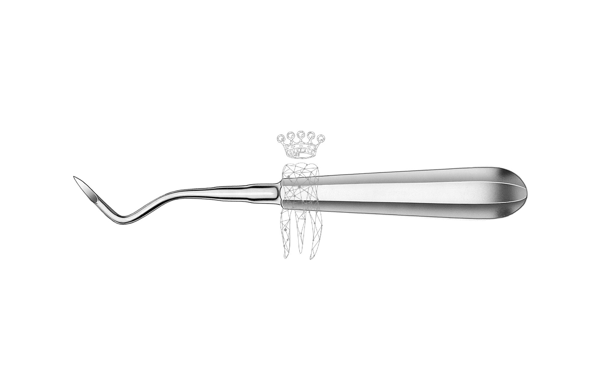 Wurzelrestentferner Heidbrink 2.5mm gebogen