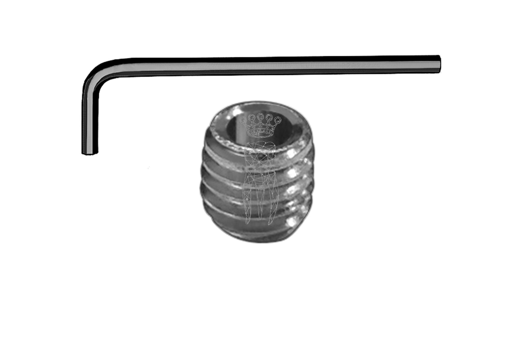 Schraube + Inbusschlüssel für OLS-1321