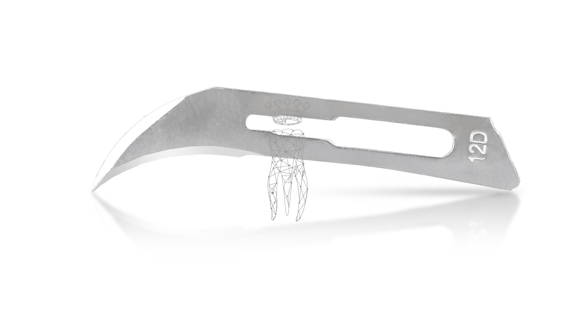 Scalpel blades 100 pcs. Carbon Steel