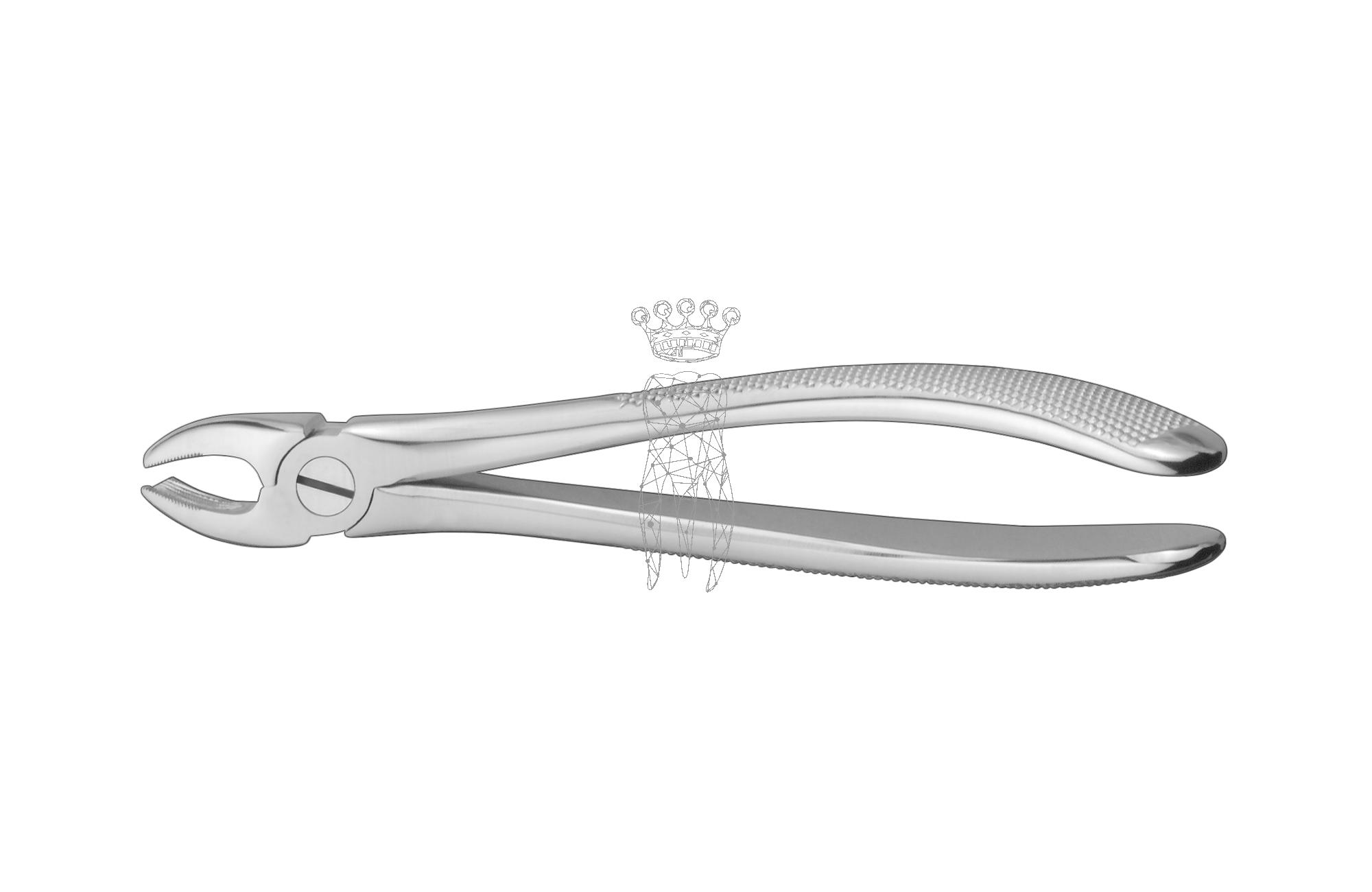 Extracting forceps friction grip Lower-Jaw molars right