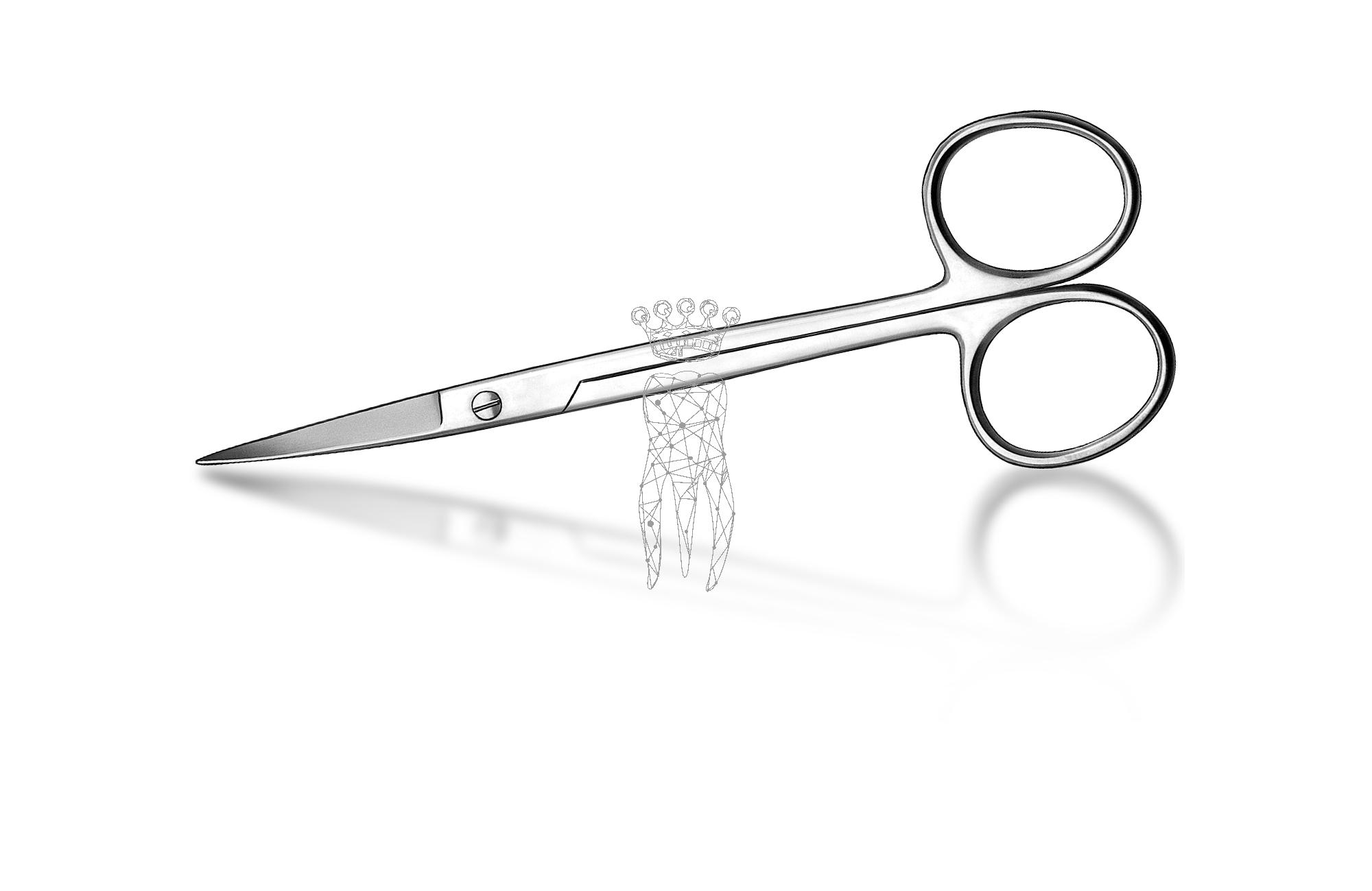 Gum scissors curved