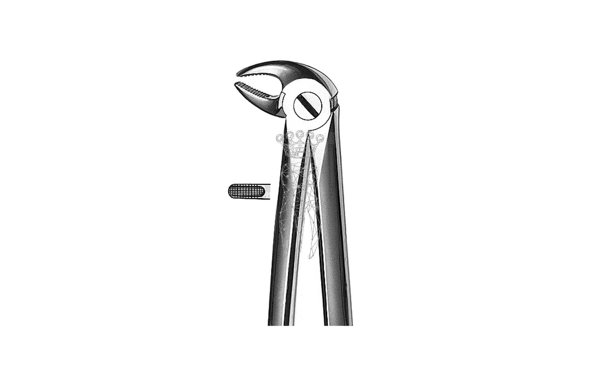 Forceps Büchs friction grip Lower-Jaw incisors-canines-premolars