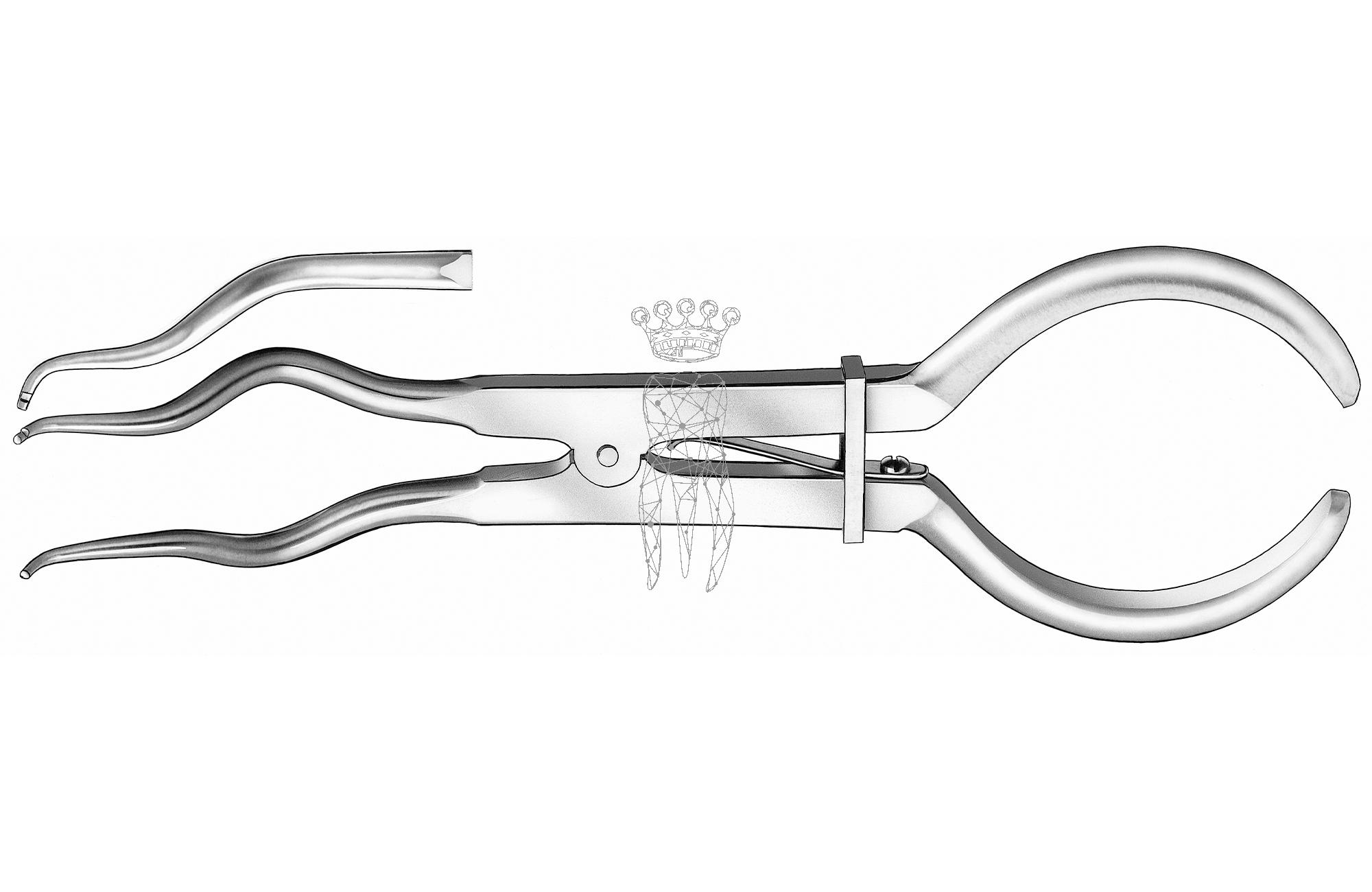 Clamp forceps Brewer
