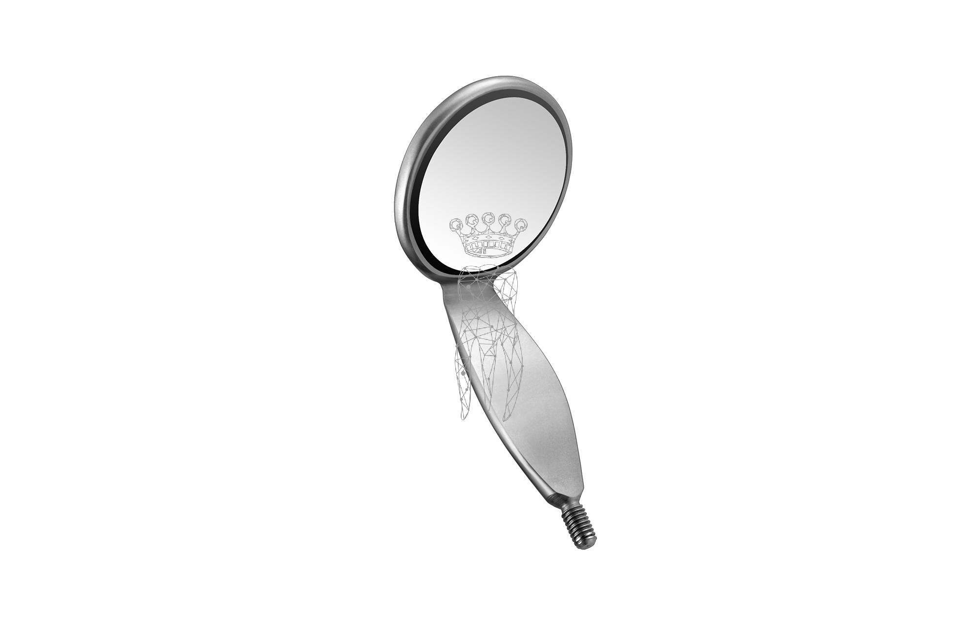 Mouth Mirror OneSide Front-Surface plane 6 pcs. Ø 22mm