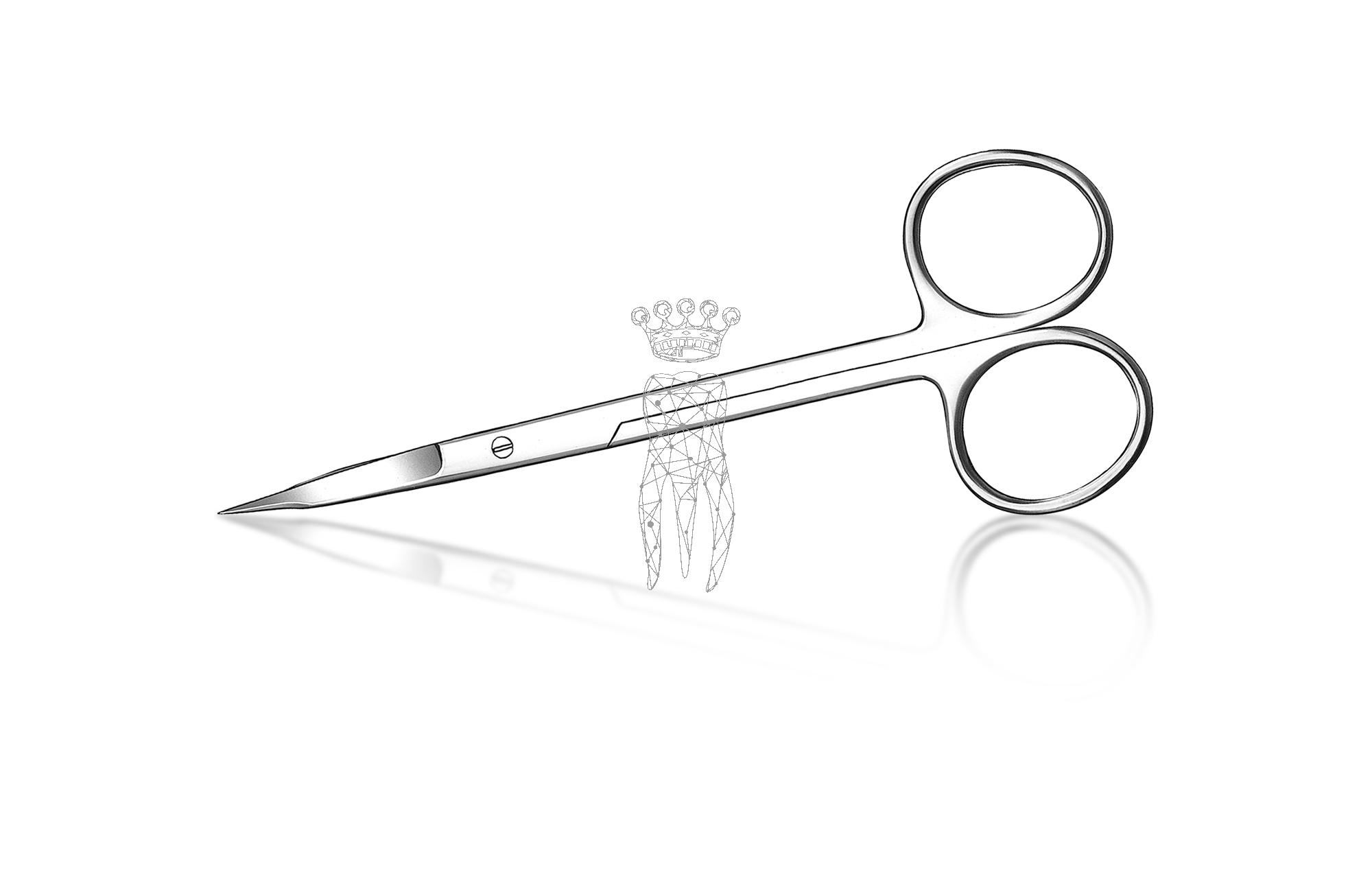 Gum scissors GOLDMAN-FOX straight blade