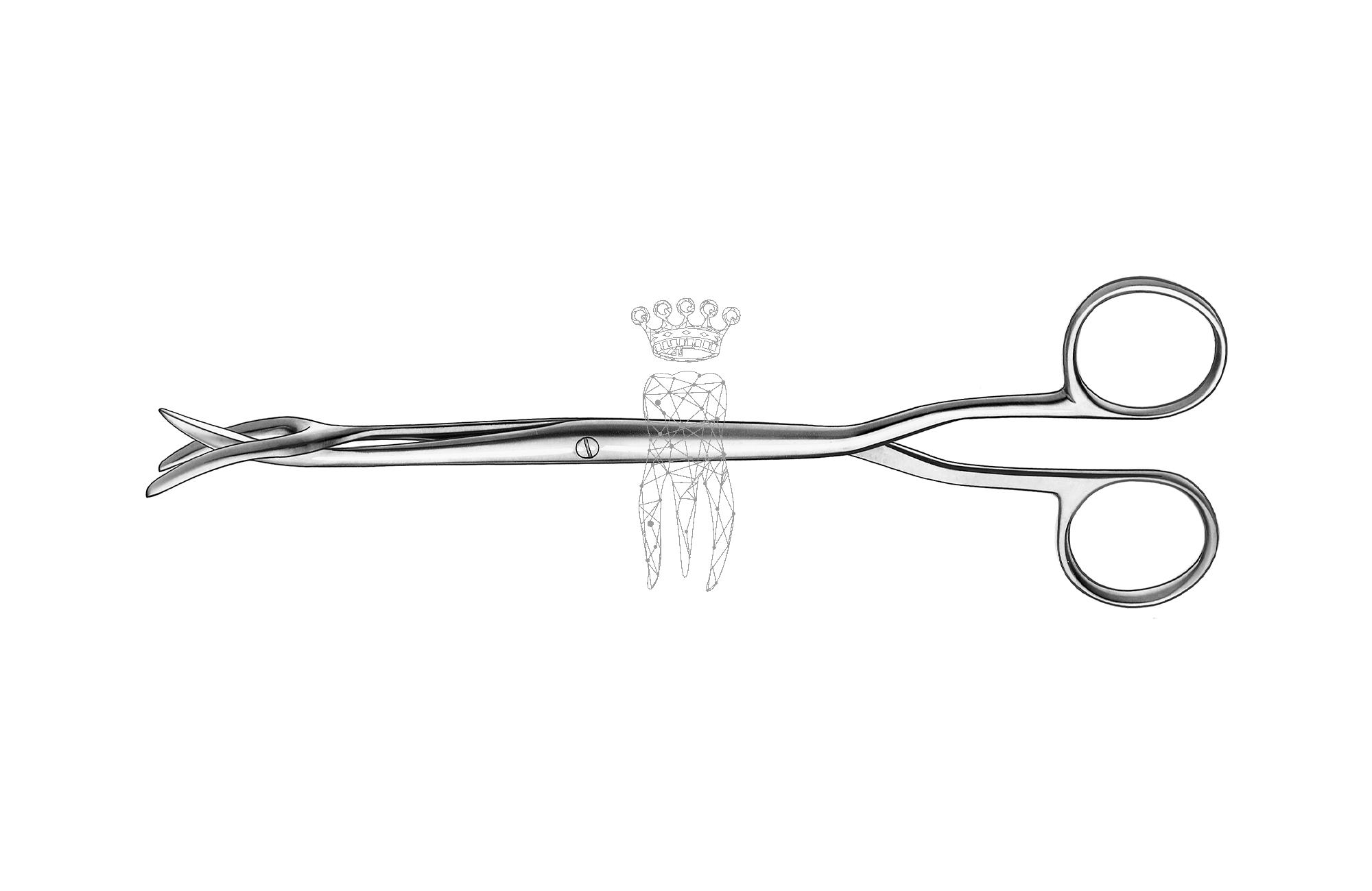 Sterilizer forceps 19cm