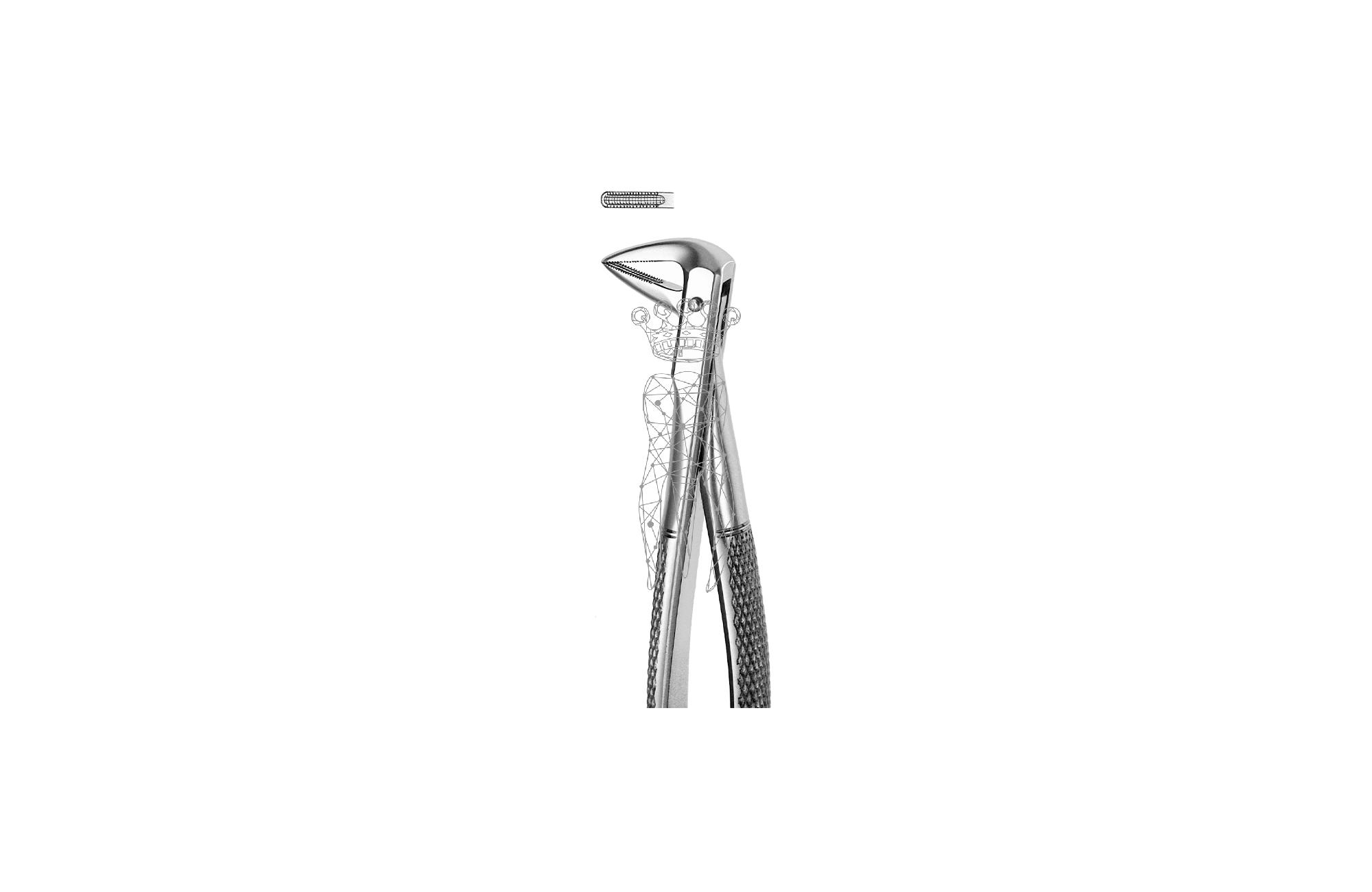 Extracting forceps Lower-Jaw roots