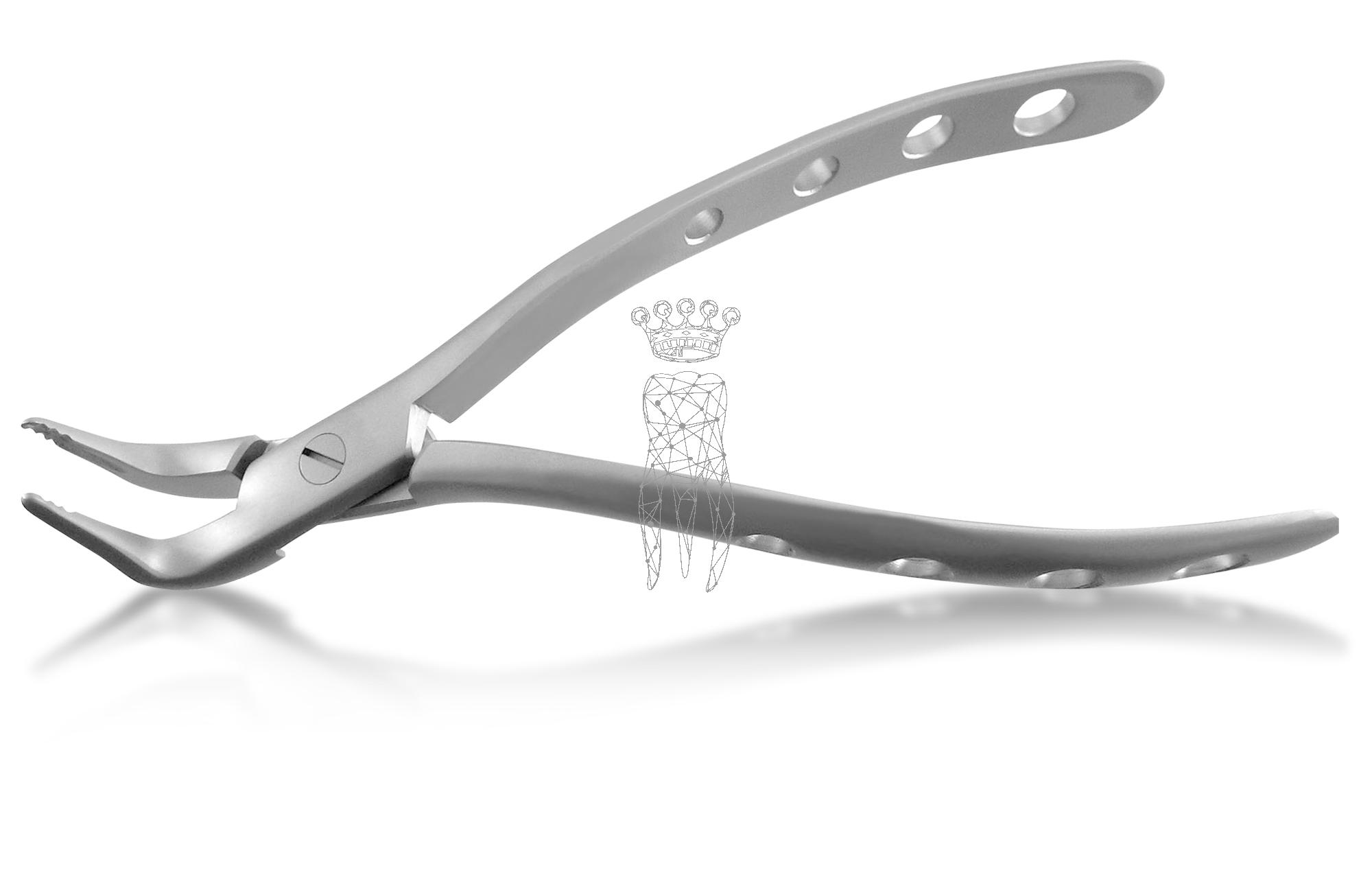 Root and fragment forceps