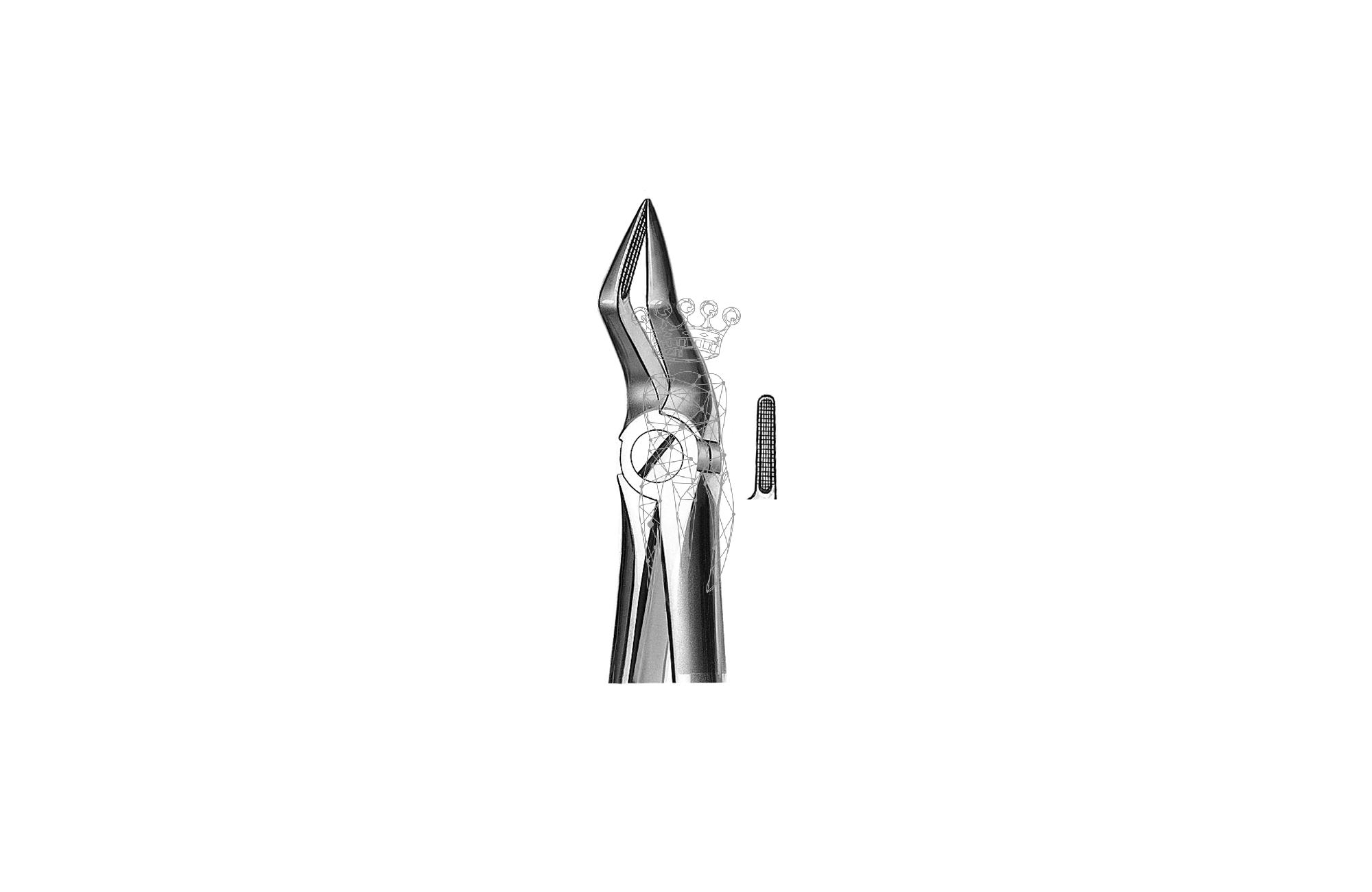 Forceps Büchs friction grip Upper-Jaw roots