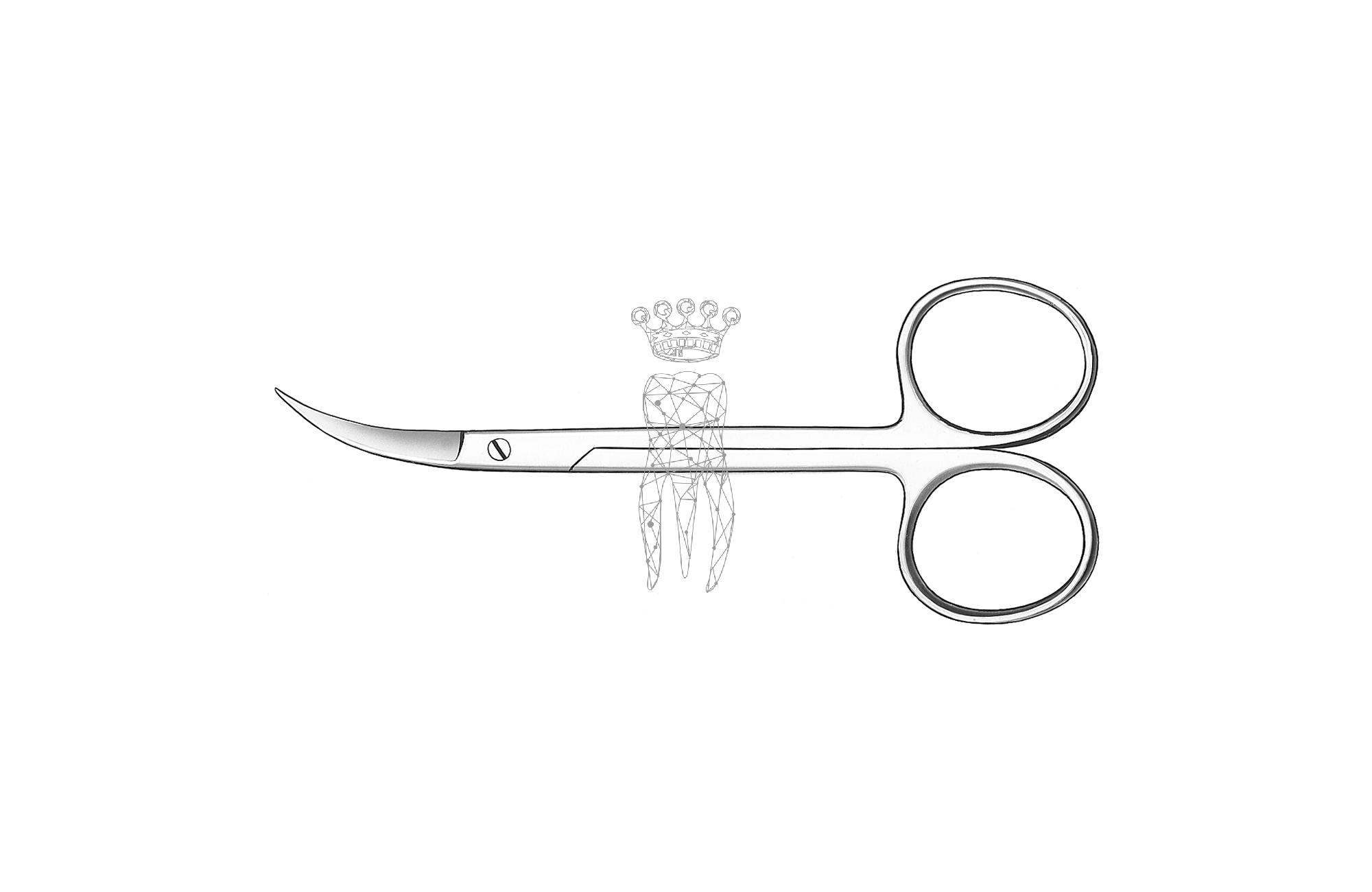 Gum scissors curved