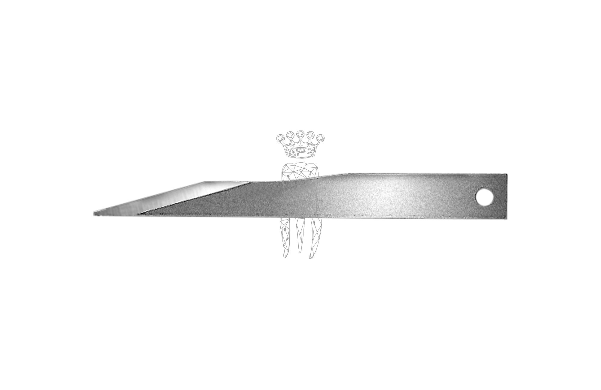 MICRO scalpel blades 10 pcs.