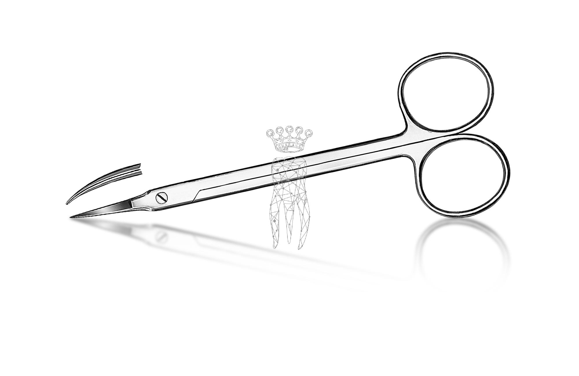 Gum scissors curved