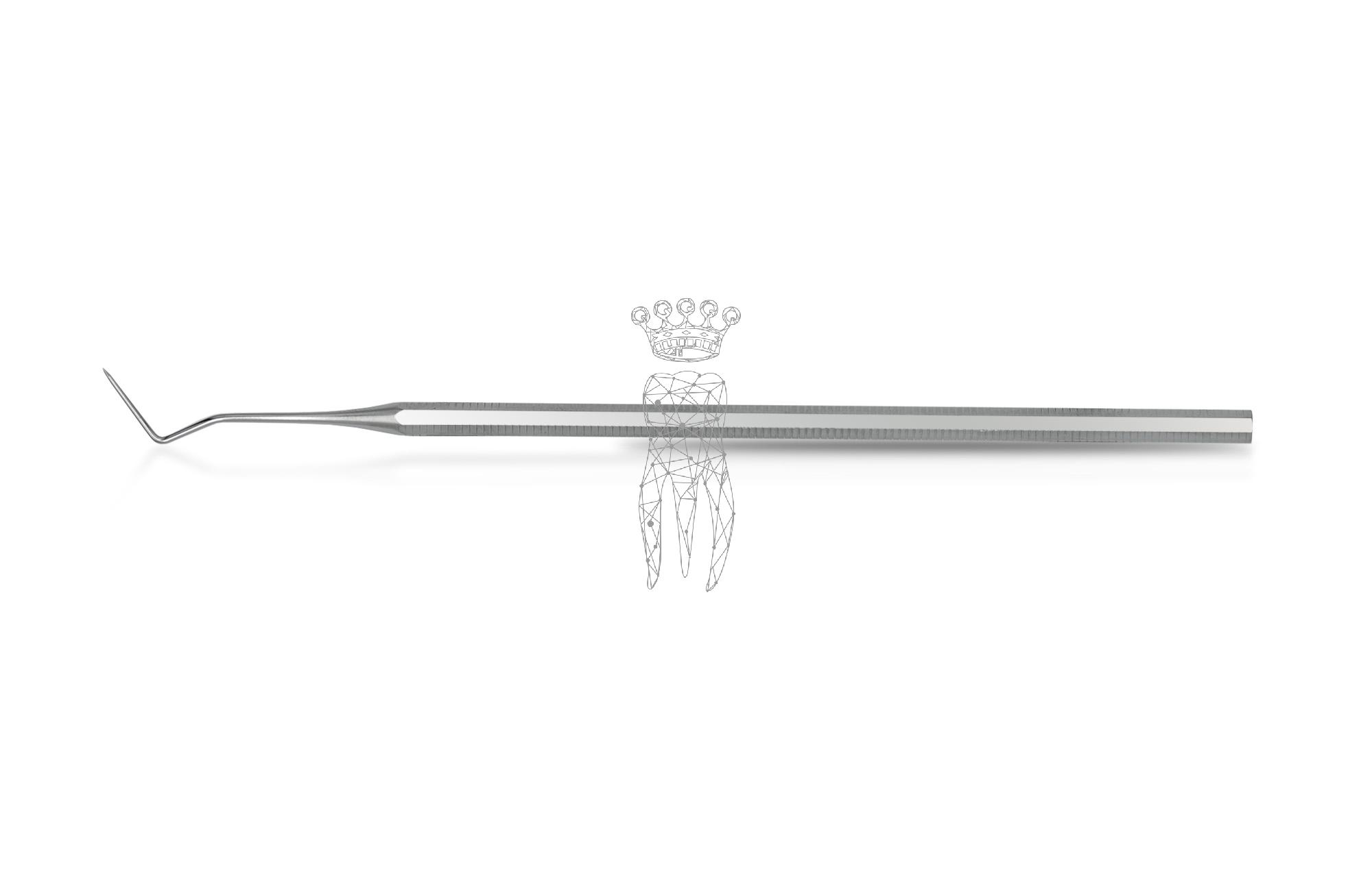 Sonde