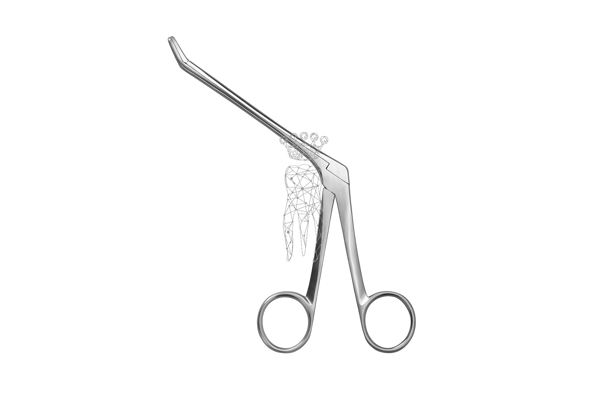 Ethmoid bone forceps 18cm - 4.8mm WEIL-BLAKESLEY