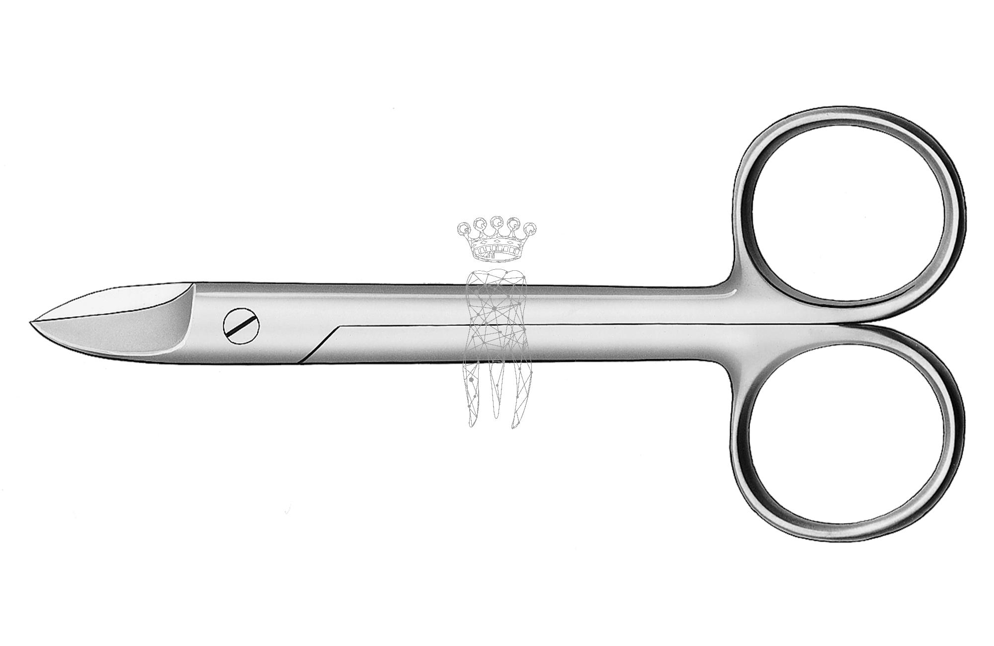 Crown scissors straight Beebee