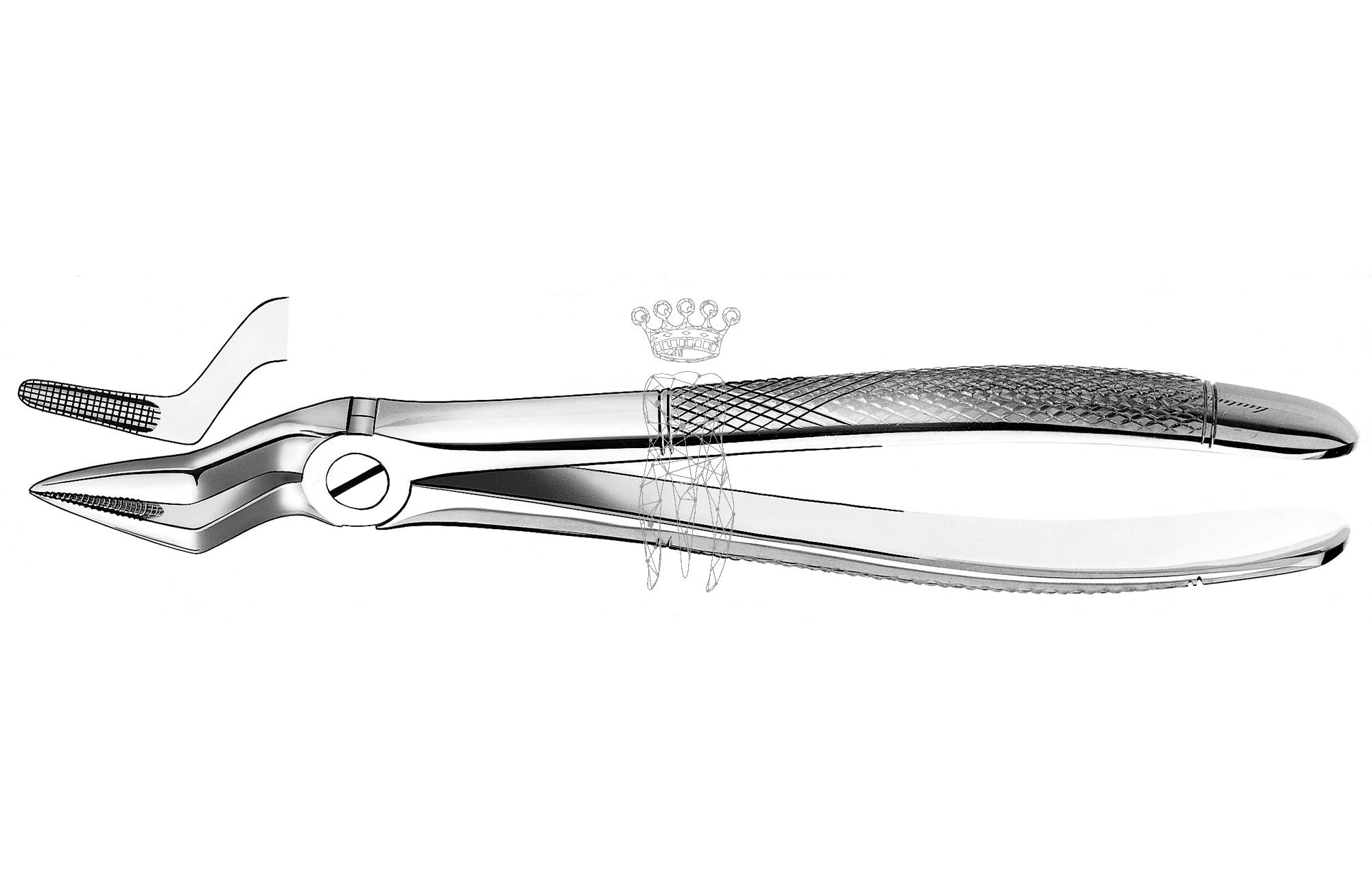 Zahnzange Haftprofil OK Wurzeln