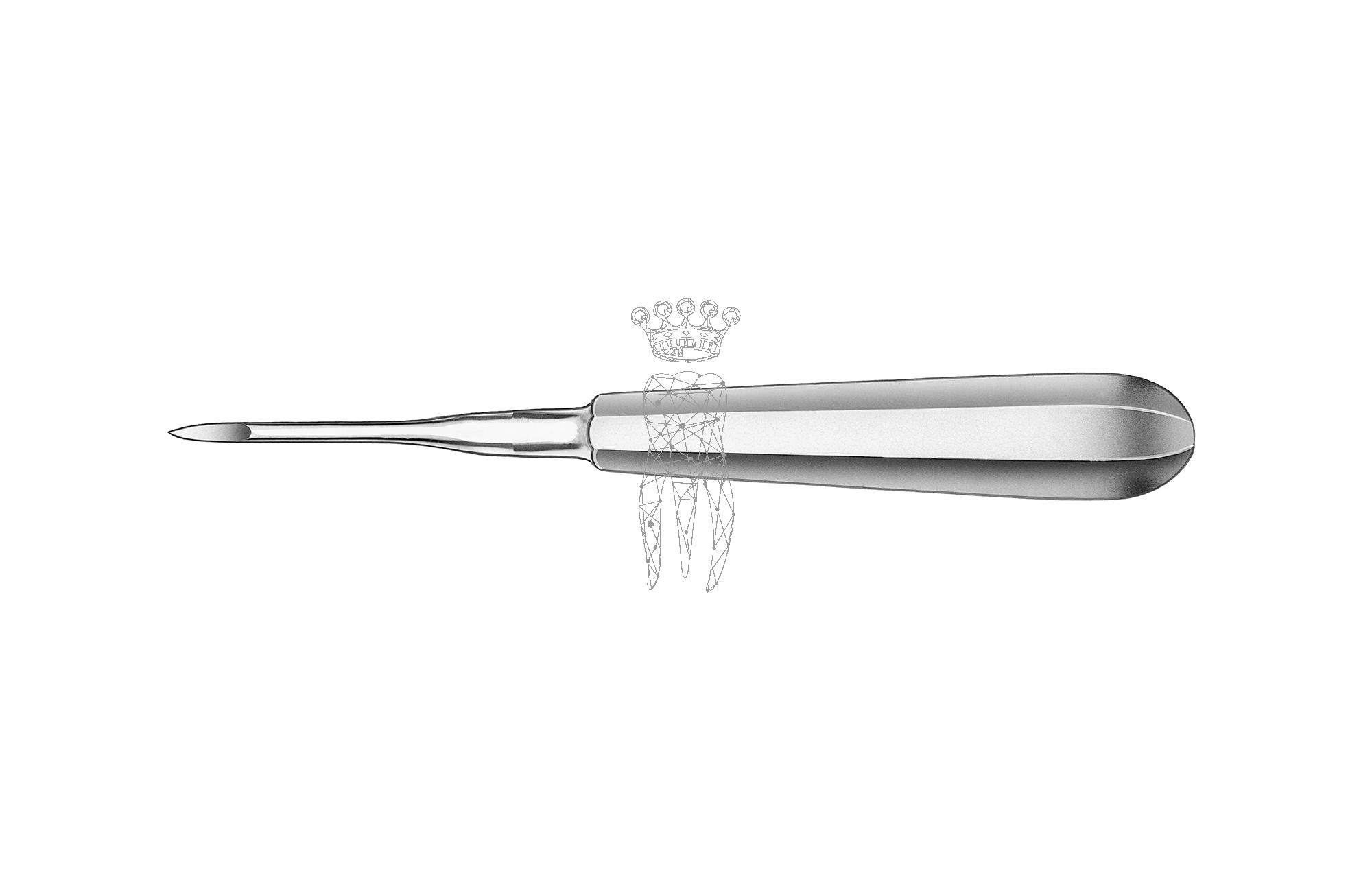 Root fragment ejector Heidbrink 2.5mm straight