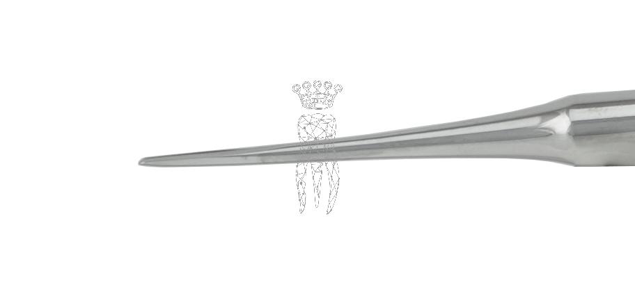 Wurzelheber  2.0mm gerade LS-Passion