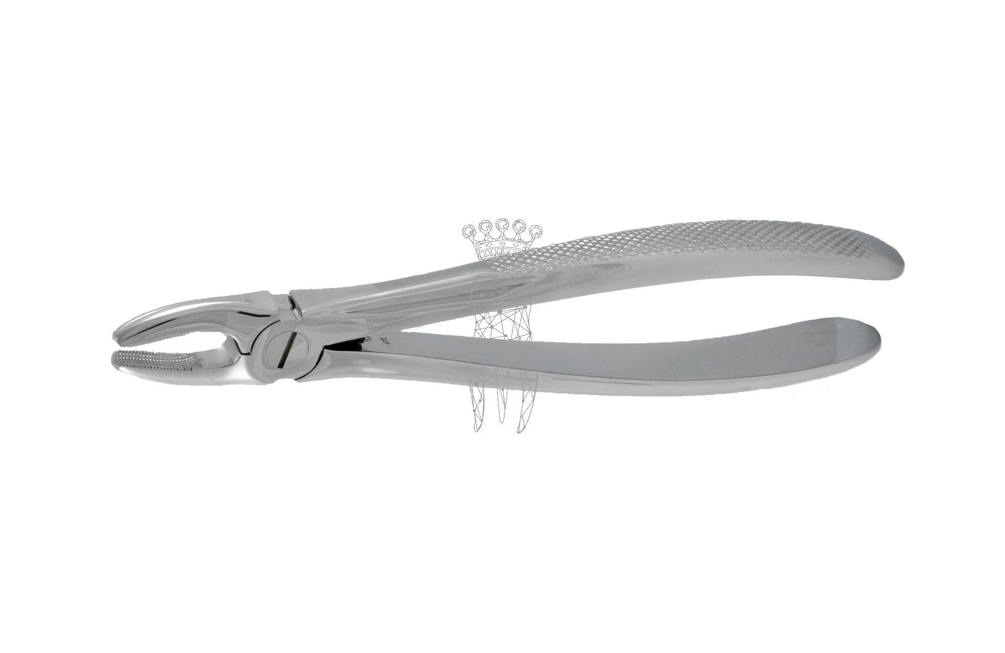 Forceps Büchs friction grip Upper-Jaw incisors/canines