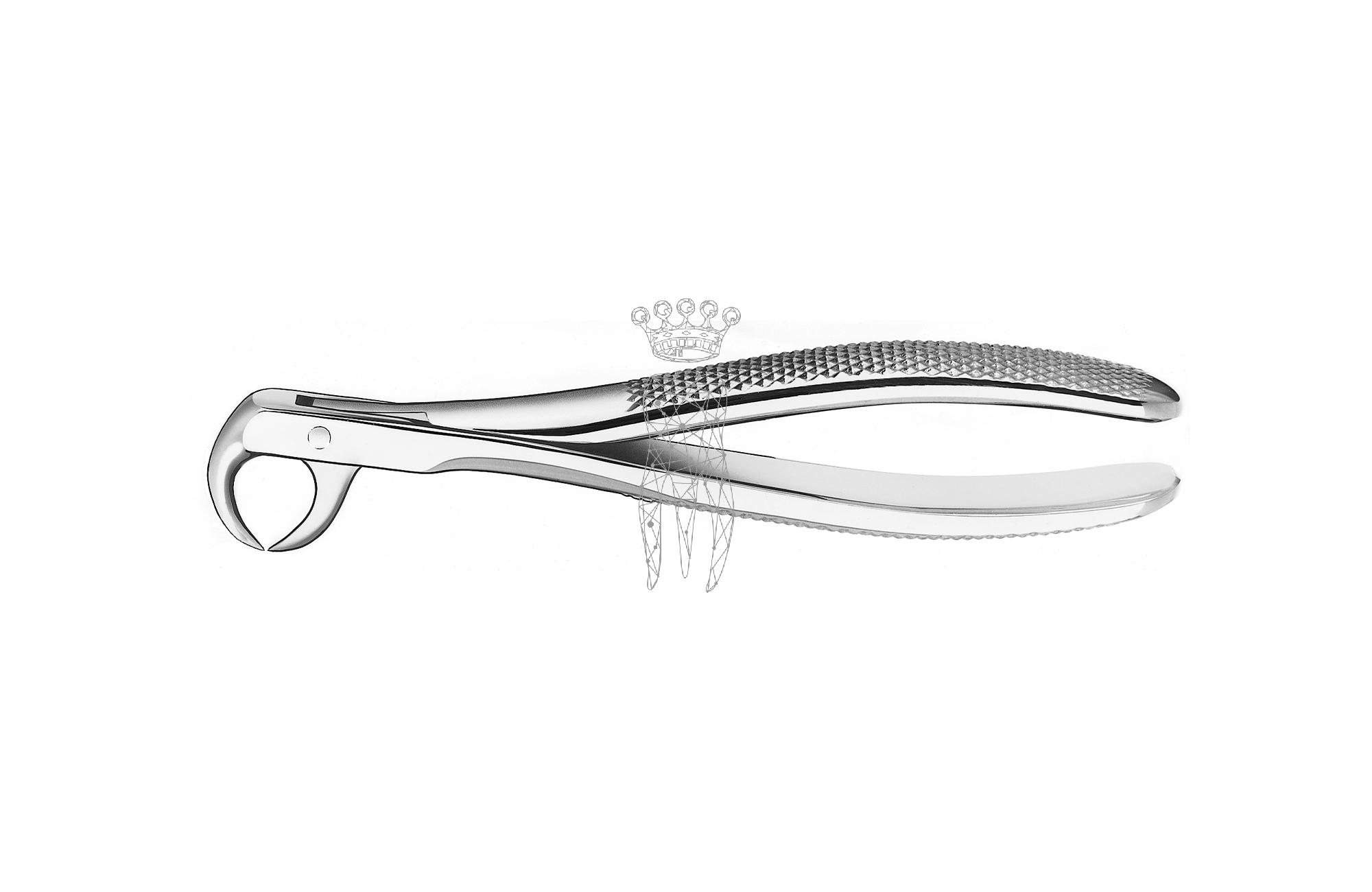 Zahnzange Haftprofil Kuhhorn UK Molaren links + rechts