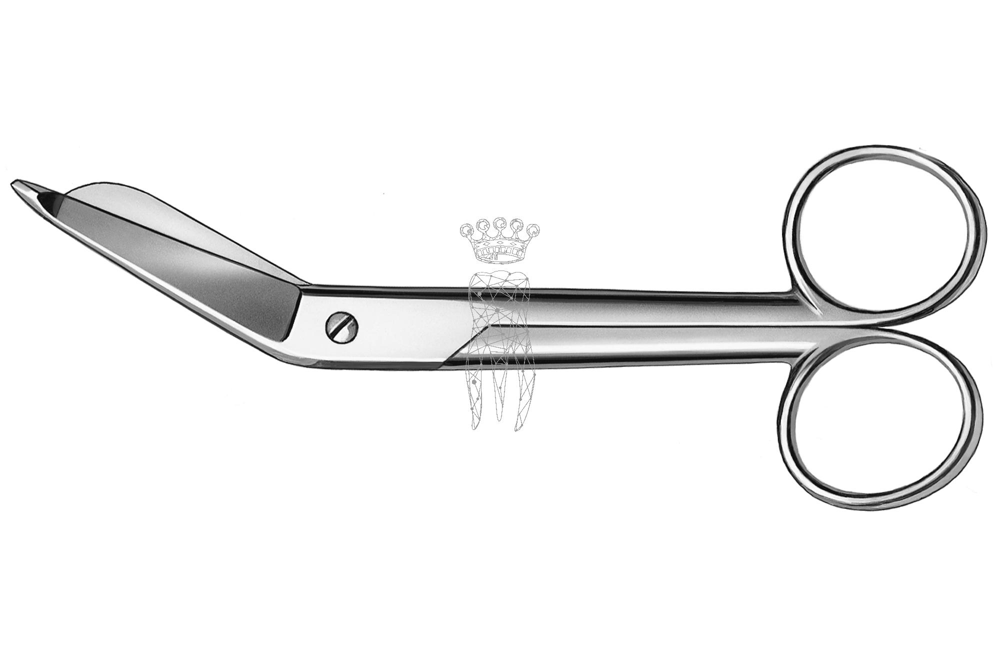 Surgical scissors Lister