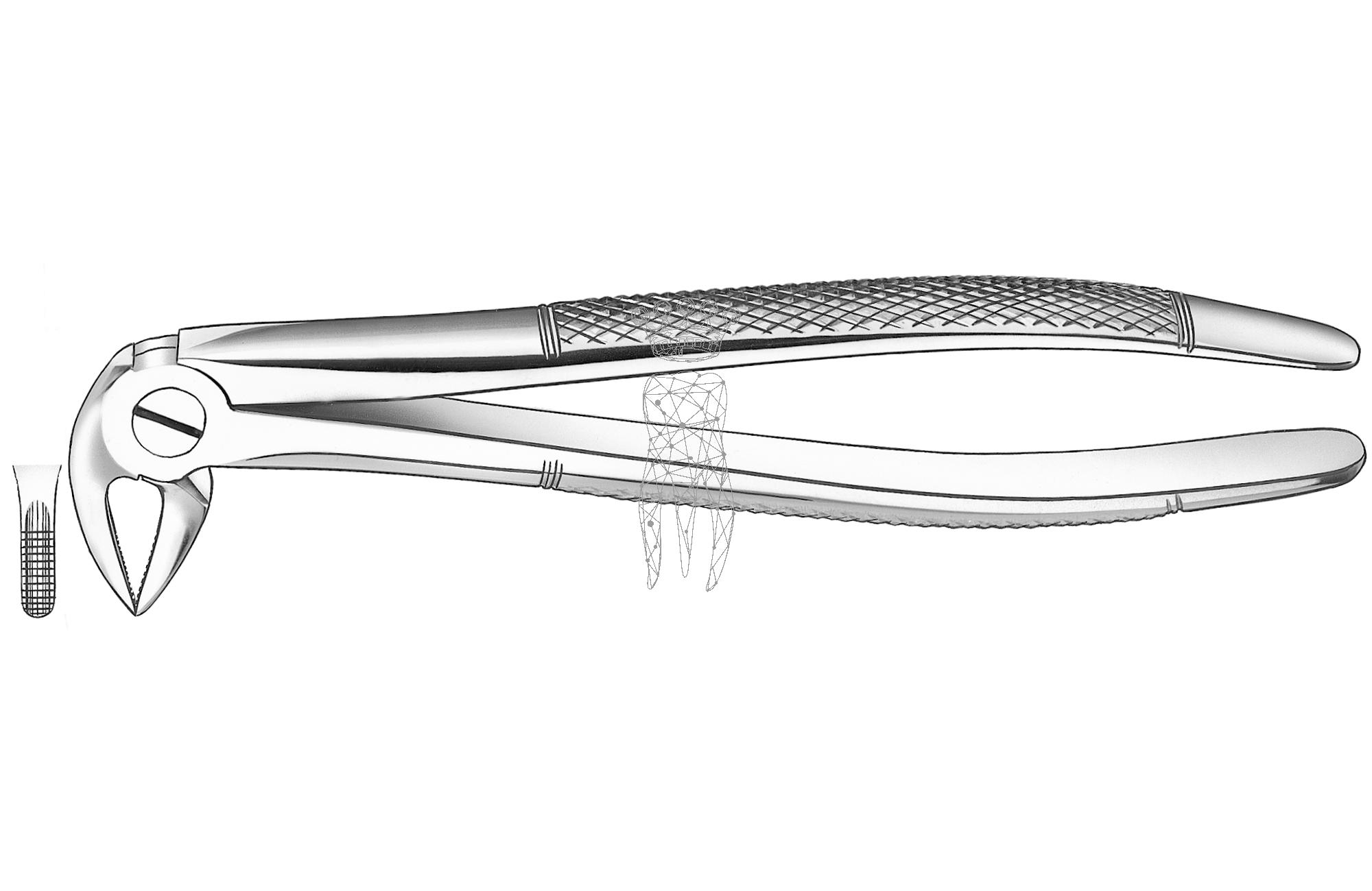 Extracting forceps frictiongrip Lower-Jaw roots