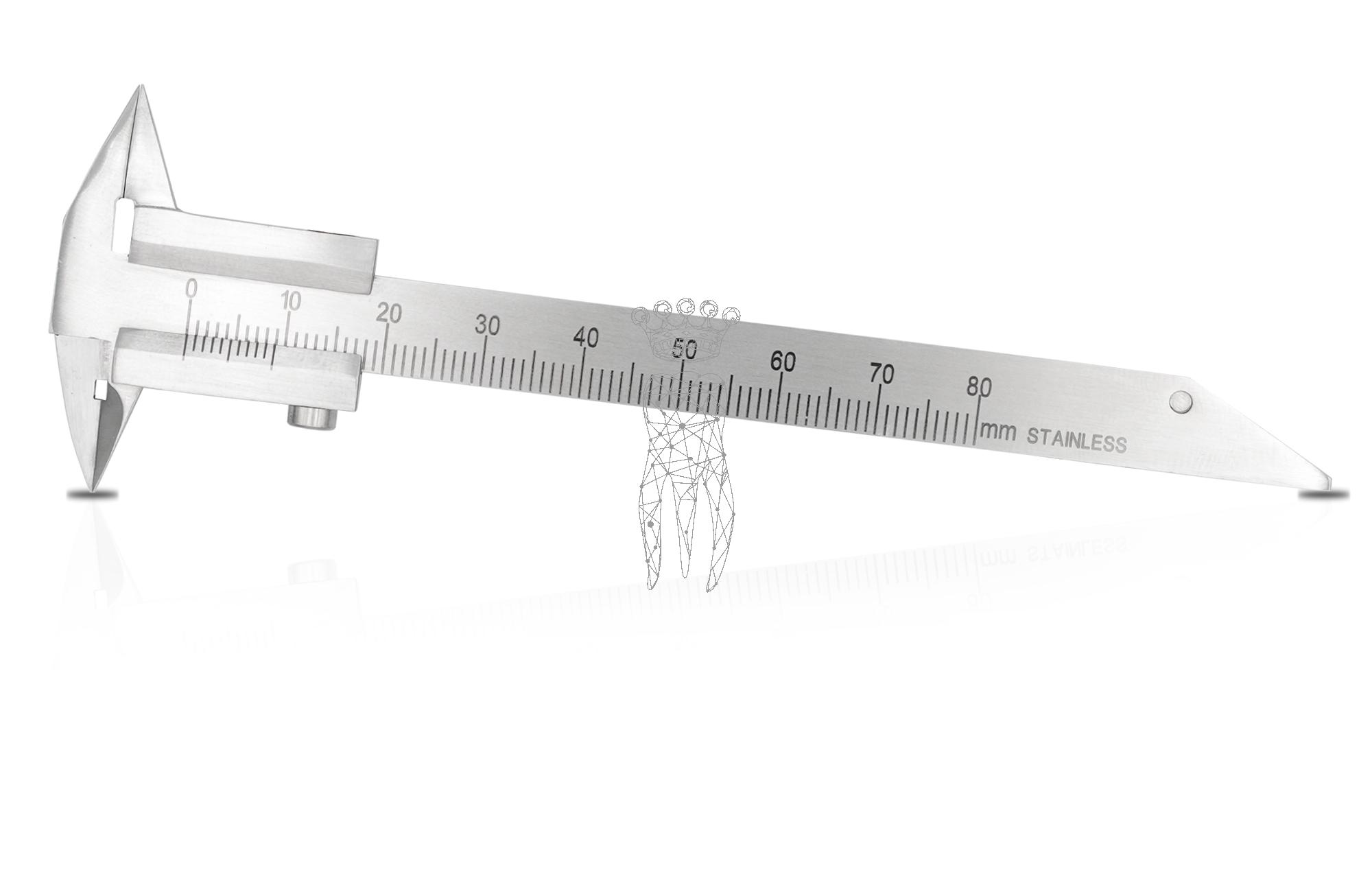 Caliper Zürcher Model
