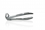 GatorEX Extracting forceps for lower molars